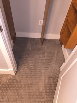 New Carpet