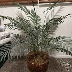 Nice Condition Silk Palm Plant 36 In H X 26 In W W  Woven Wicker Pot 