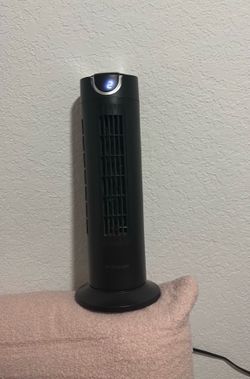 Fan