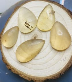 Genuine BALTIC AMBER W Bug Inclusions!