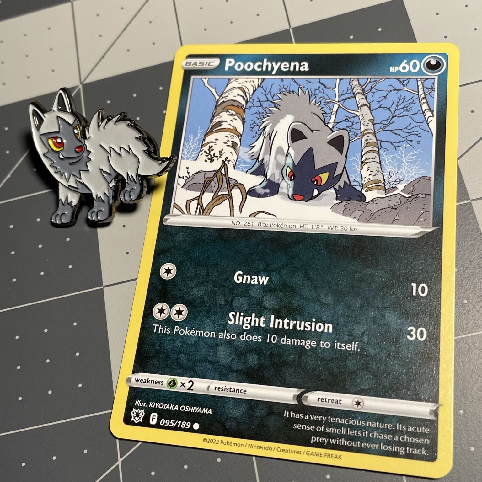 rarities of pokemon cards How to Tell the Rarity of a Pokmon Card