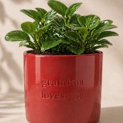 Grandma Loves You Plant Pot 🪴
