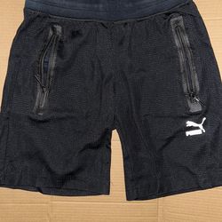 Puma Men’s Mesh Shorts 