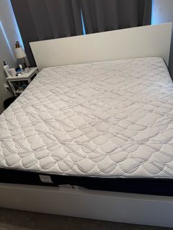 Ikea Malm King Size Bed + Serta Blissfull excellence mattress
