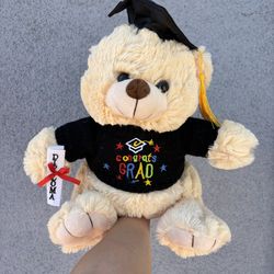 Graduation Plushies 