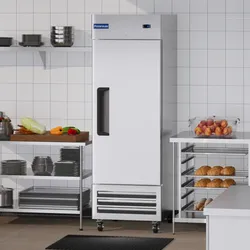 Single Reach in Freezer - NO WARRANTY -  PICK UP ONLY  (CASH ONLY)