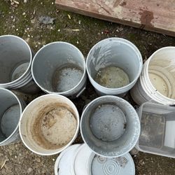 Free Buckets 