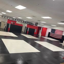 Zebra 2” Mata For Sale ,