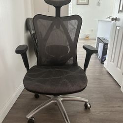 Office Chair With Lumbar Support and Adjustable Headrest + High Back Tilt