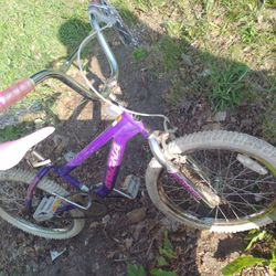 20" Girls Bike