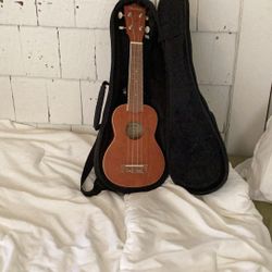 Mitchell Ukulele And A Snark Tuner 