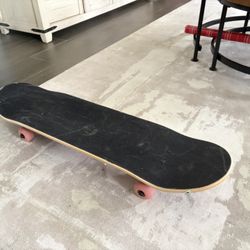 Skate Board 