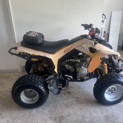 Can am ds-250