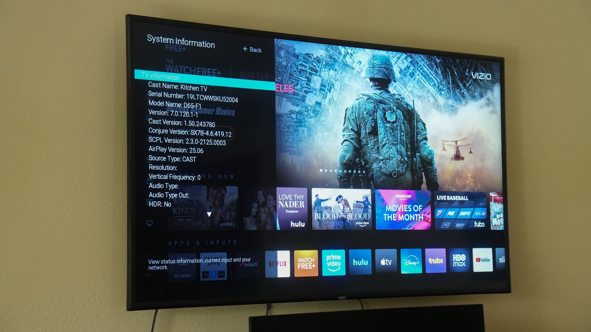 Vizio 65in LED Smart TV