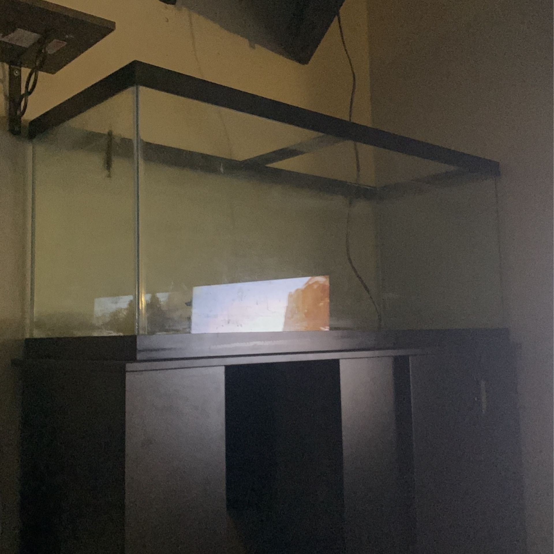 Fish tank