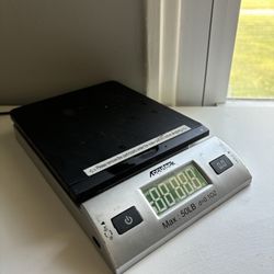 Accutek Scale