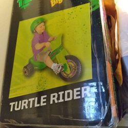 Toy turtle rider