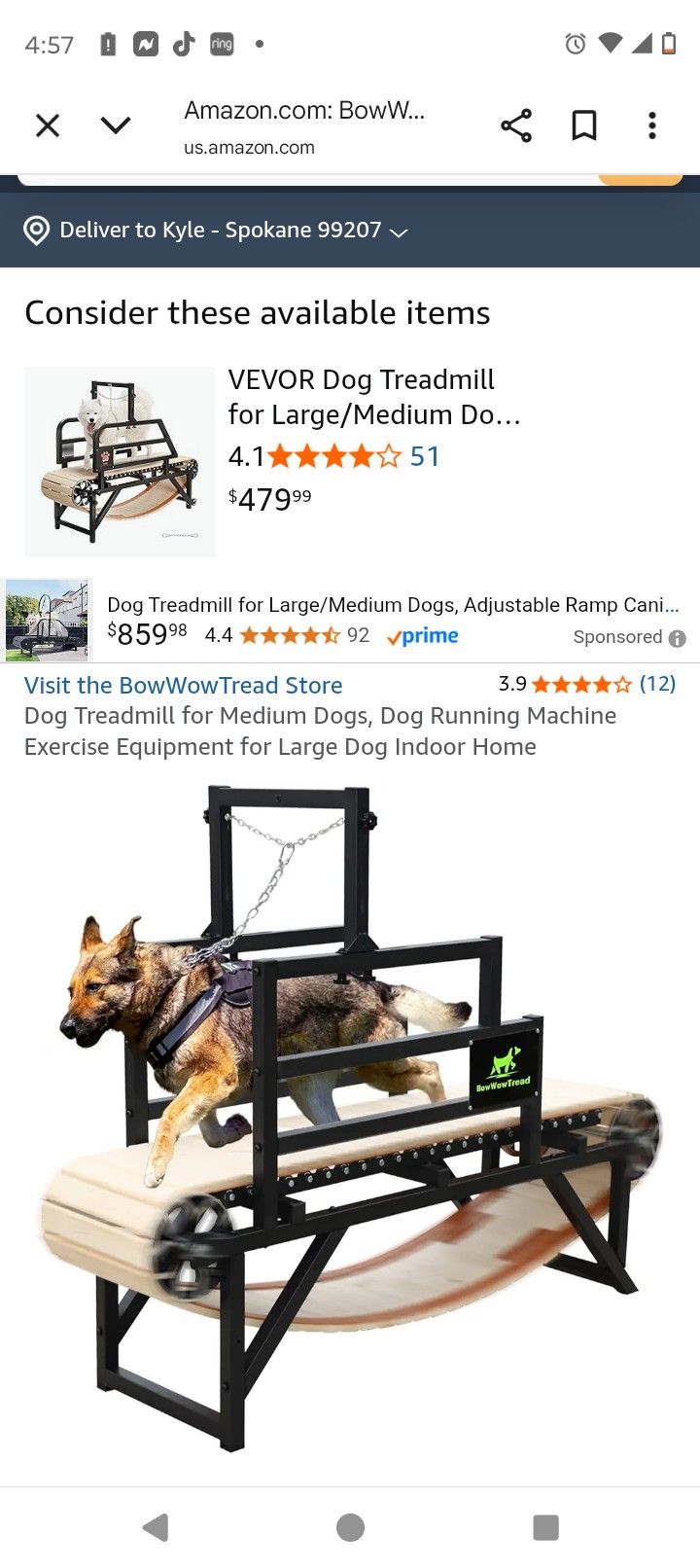 Dog Treadmill 