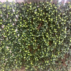 Wall Art 🌱 Board Fake Plant 🪴 