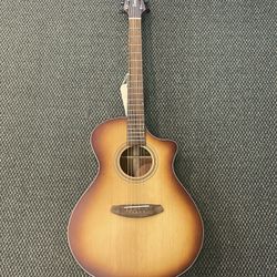 Breedlove Guitar 