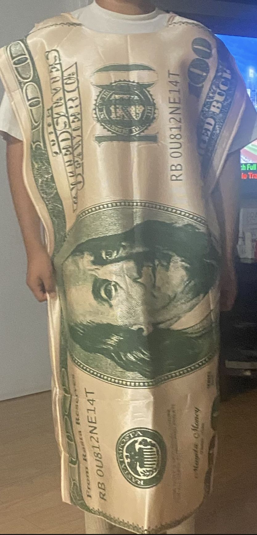 Adult Halloween Costume