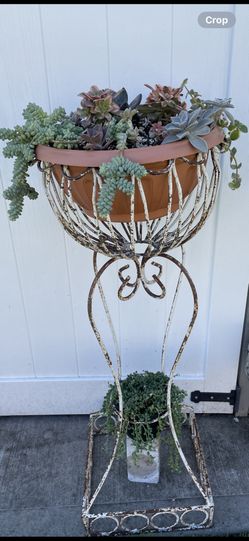 Garden Decor