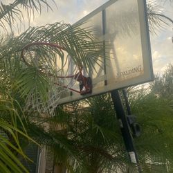Basketball Hoop