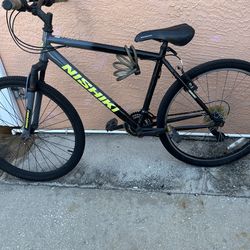 The bicycle is in good condition; it just needs a cleaning