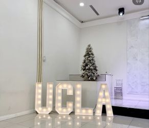 Light Up Marquee Letters