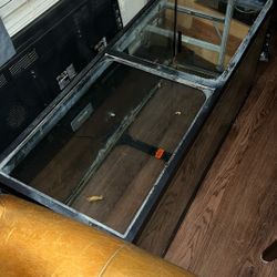 Fish Tank 