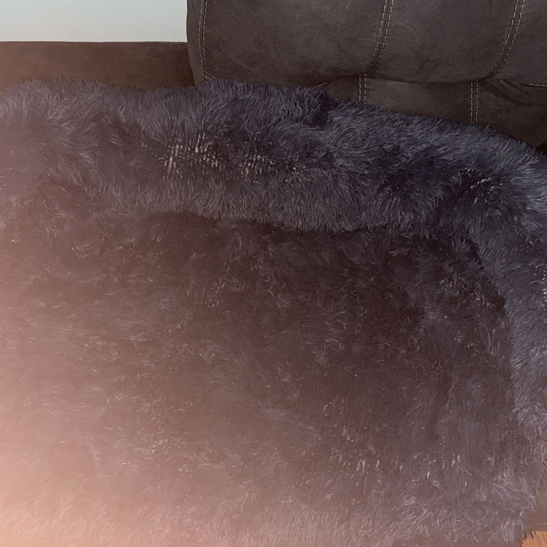 Dog Bed For Couch