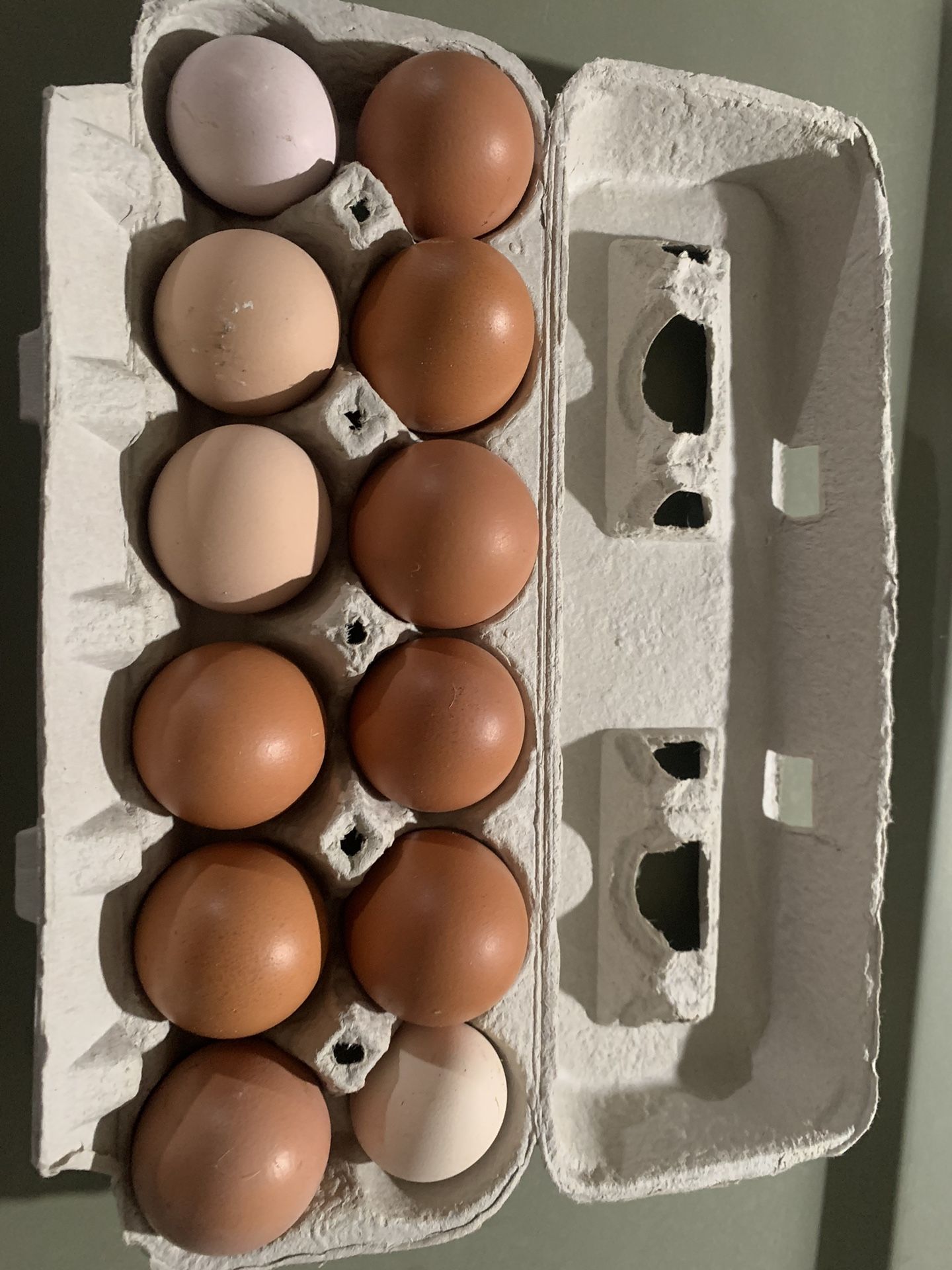 Eggs