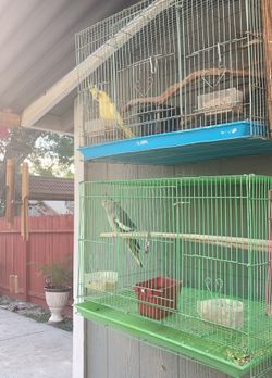 Cages