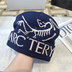 arctery beanie