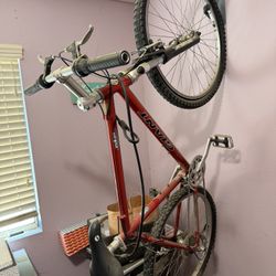 Mountain Bike - $75