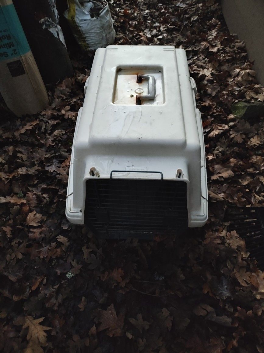 Kennel 