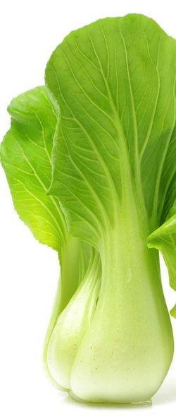 Pak Choi-Boc choy seed+2 gift