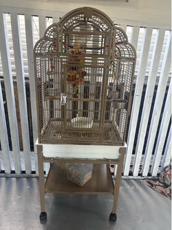 Parrot cage