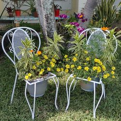 Wrought Iron  Flower Pot Chairs (2) w Flower!