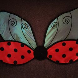 Lady bug Costume 