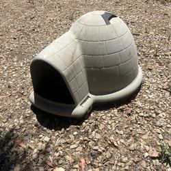 medium igloo