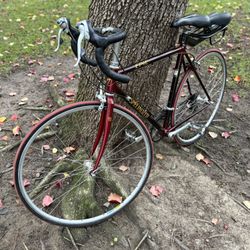 Specialized Epic Carbon Fiber Road Bike