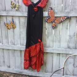 Latin Dance Dress Costume 