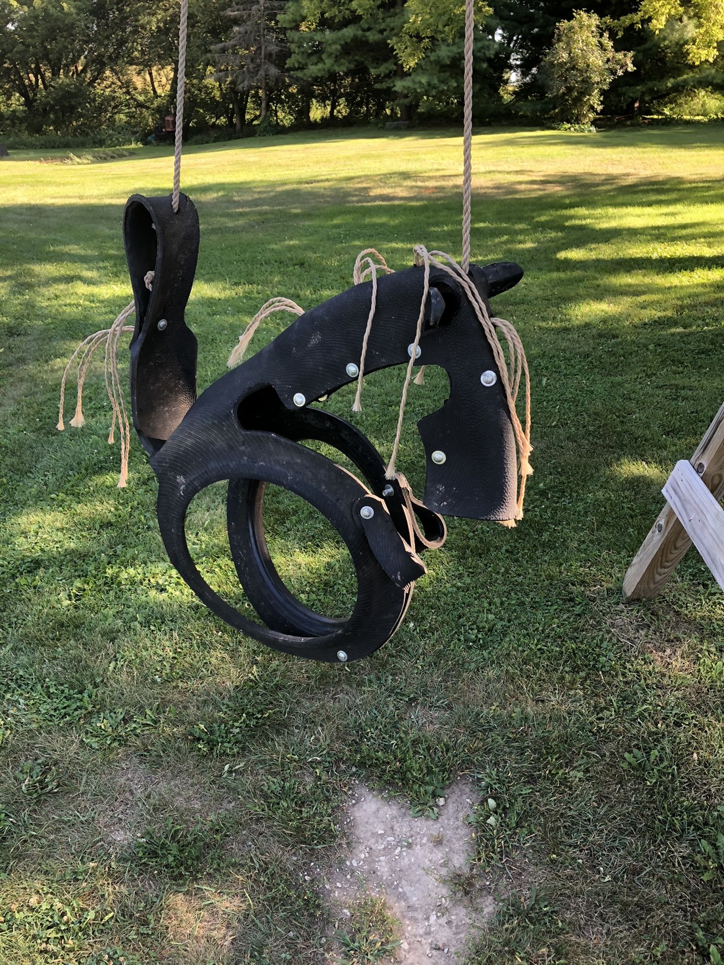 Horse Tire Swing
