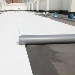 Tpo Rolls & Gray Detail 