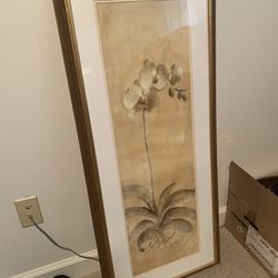Spring Orchid Framed Picture 