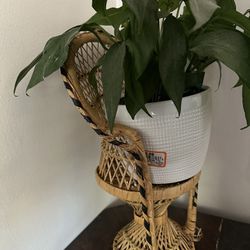 Boho Style Vintage Rattan Plant Holder