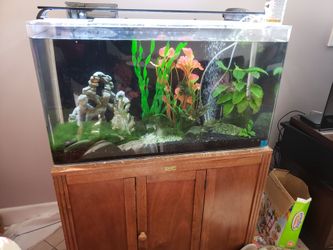 Fish Tank Seaclear System2 40gls