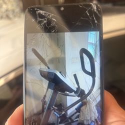 NordicTrack ellipticals featuring iFIT compatibility and SMR 500 cash  Roseville to pickup 