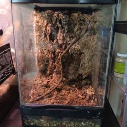 12x12x18 Zoo Med Terrarium